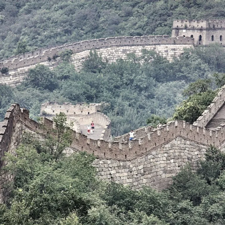Séjourner dans un hôtel avec vue sur mer à La Rochelle : immersion entre plages, port et centre historique