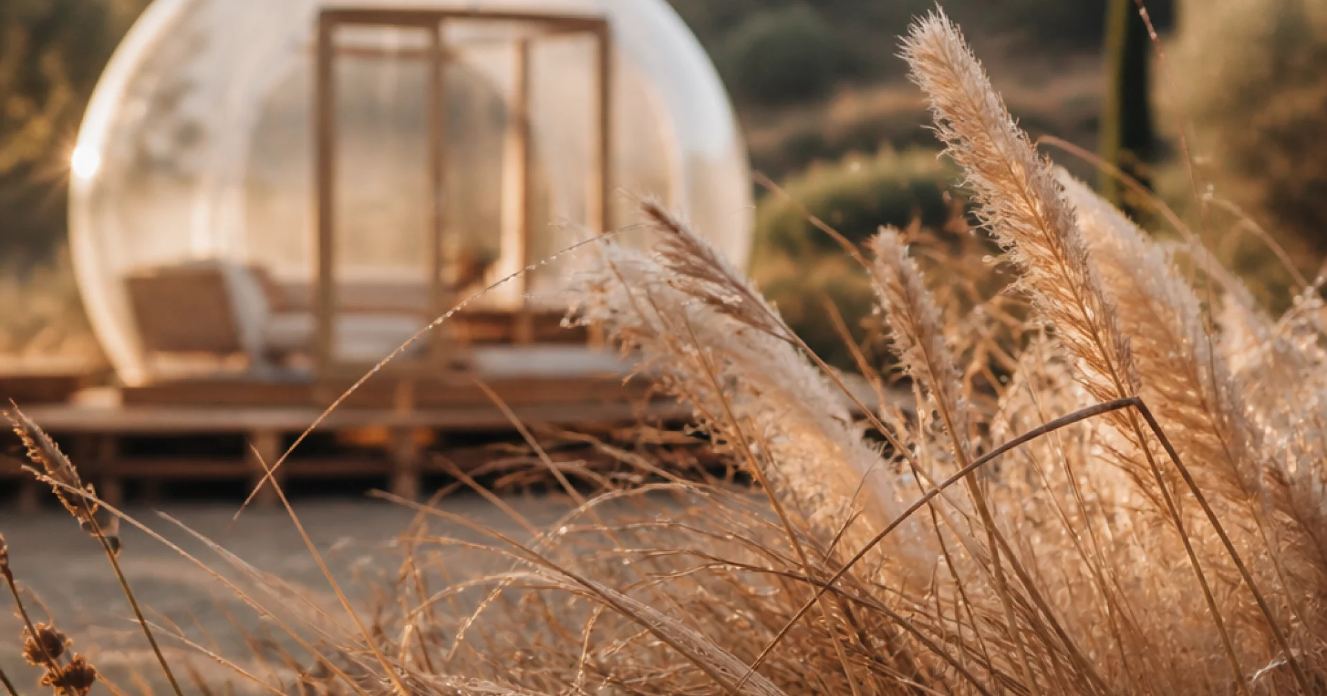 Une nuit dans une bulle en PACA : l’expérience de luxe à ciel ouvert