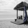 Voyager au rythme d’un festival polynésien 2025 : immersion au cœur de la culture tahitienne